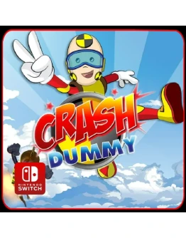 Crash Dummy Nintendo Switch