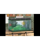 SpiderAttack STEAM KEY REGION FREE GLOBAL ROW