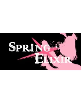 Spring X Elixir STEAM KEY REGION FREE GLOBAL ROW +