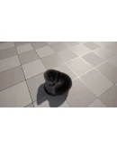 Aabs Animals Xbox One &amp Xbox Series XS активация