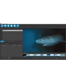 DIKDIK Video Converter STEAM KEY REGION GLOBAL ROW +