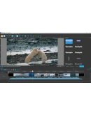 DIKDIK Video Converter STEAM KEY REGION GLOBAL ROW +