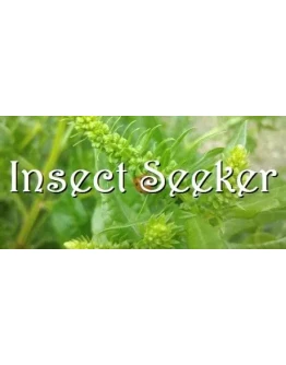 Insect Seeker STEAM KEY REGION FREE GLOBAL ROW +GIFT