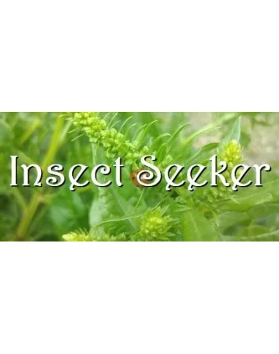 Insect Seeker STEAM KEY REGION FREE GLOBAL ROW +GIFT