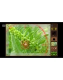 Insect Seeker STEAM KEY REGION FREE GLOBAL ROW +GIFT