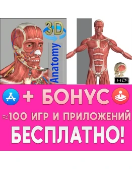 3D Anatomy + Visual Anatomy iPhone ios AppStore iPad