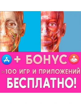 Human Anatomy Atlas 2023 iPhone ios AppStore iPad +