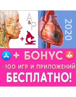 Anatomy &amp Physiology iPhone ios AppStore iPad На Сутки