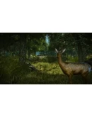 Ведьмак 2 XBOX The Witcher 2 XBOX На Любой Регион