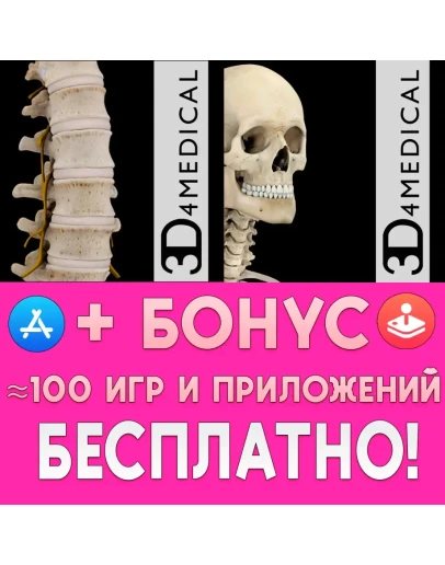 Spine Pro III + Skeleton System Pro III iPhone ios