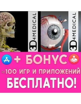 Brain &amp Nervous System Pro III Essential Eye iPhone ios