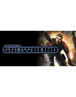 Project: Snowblind - STEAM GIFT РОССИЯ