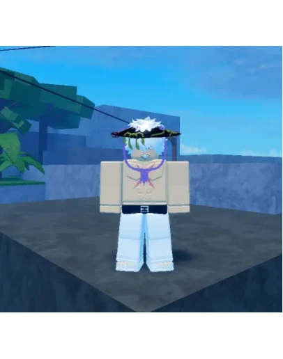 Musashis Hat