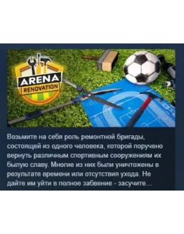 Arena Renovation АВТОДОСТАВКА STEAM GIFT РОССИЯ
