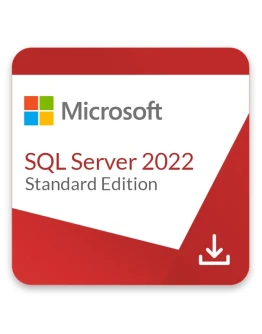 Microsoft SQL Server Standard 2022 (Навсегда)