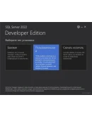 Microsoft SQL Server Standard 2022 (Навсегда)