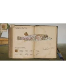 Open Fishing XL STEAM KEY REGION FREE GLOBAL ROW +