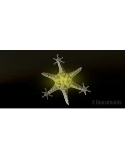 3 Households STEAM KEY REGION FREE GLOBAL ROW + GIFT