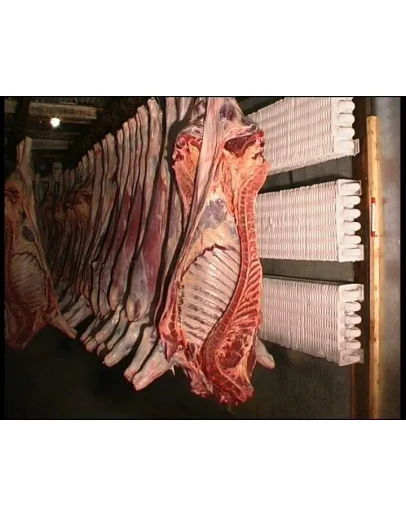 Вкусные блюда из мяса + БОНУС