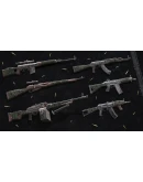 Insurgency: Sandstorm - Rust &amp Wrap Weapon Skin Set