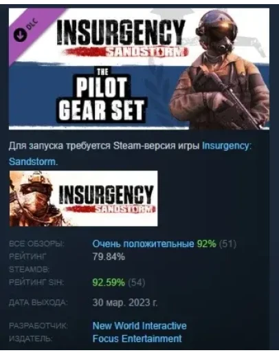 Insurgency: Sandstorm - Pilot Gear Set DLC STEAM РОССИЯ