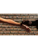 Ferus-The dark abyss STEAM KEY REGION GLOBAL ROW +