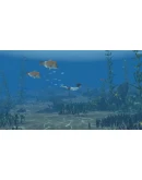 Storm Boy Xbox One &amp Xbox Series XS активация