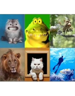 Анимашки для мобильного (240х320) + БОНУС