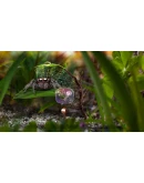 AntVentor Xbox One &amp Xbox Series XS активация