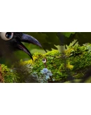 AntVentor Xbox One &amp Xbox Series XS активация