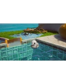 Placid Plastic Duck Simulator (Steam ключ) GLOBAL +