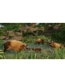 Planet Zoo: Tropical Pack Steam Ключ РФ+Мир +Бонус