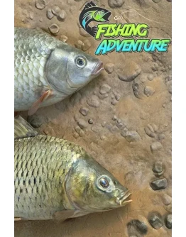 Fishing Adventure Xbox OneXS активация