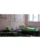 Once in Yaissor АВТОДОСТАВКА STEAM GIFT РОССИЯ