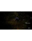 HUNTING SIMULATOR 2 BEAR HUNTER EDITION XBOX XSKEY