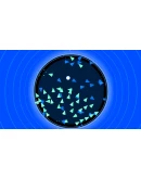 Soundodger+ АВТОДОСТАВКА STEAM GIFT RUSSIA