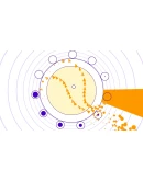 Soundodger+ АВТОДОСТАВКА STEAM GIFT RUSSIA