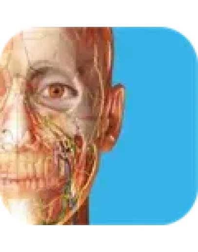Human Anatomy Atlas 2025: Complete 3D Microsoft Store