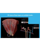 Human Anatomy Atlas 2025: Complete 3D Microsoft Store