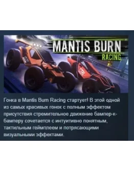 Mantis Burn Racing АВТОДОСТАВКА STEAM GIFT РОССИЯ
