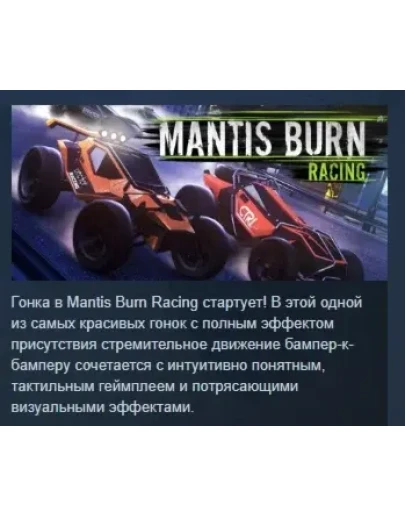 Mantis Burn Racing АВТОДОСТАВКА STEAM GIFT РОССИЯ