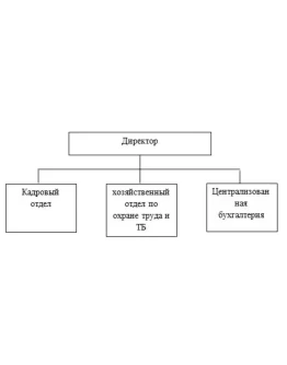 Практика по получению профессиональных умений и опыта п