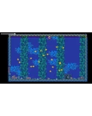 Things to get STEAM KEY REGION FREE GLOBAL ROW