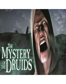 The Mystery of the Druids (Steam key / РФ+Весь Мир)