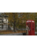 The Mystery of the Druids (Steam key / РФ+Весь Мир)