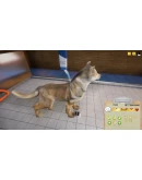 Animal Shelter (Steam Gift Россия)