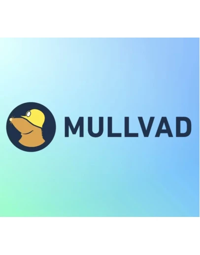 MULLVAD МУЛЛВАД Аккаунт 1 месяц