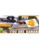 Monkey Business (Steam Gift Россия)