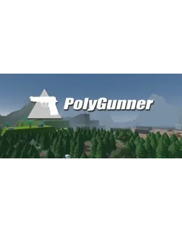 PolyGunner STEAM KEY REGION FREE GLOBAL ROW