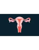 Sperma STEAM KEY REGION FREE GLOBAL ROW Sperma STEAM KEY REGION FREE GLOBAL ROW